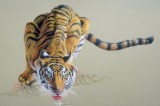 Три драгоценности Валерия Янковского – «Тигр, олень, женьшень»